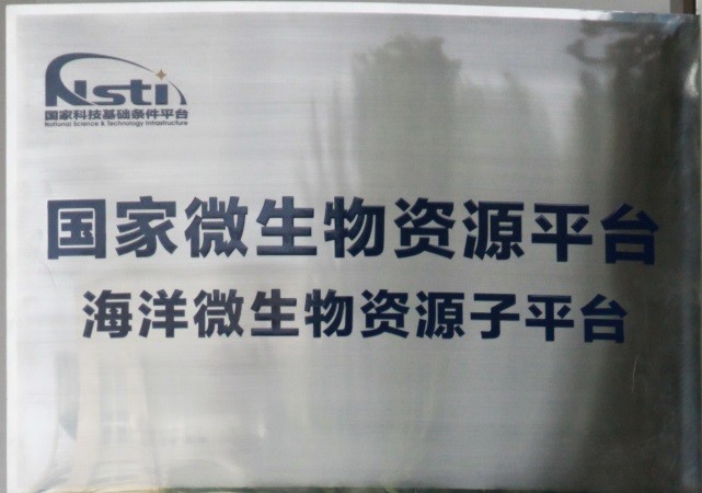 微生物.jpg