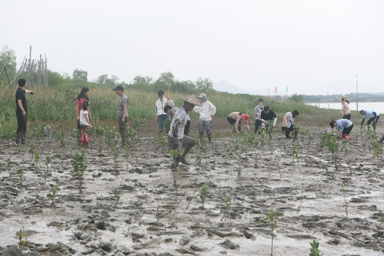 图片1.png 图片1.png