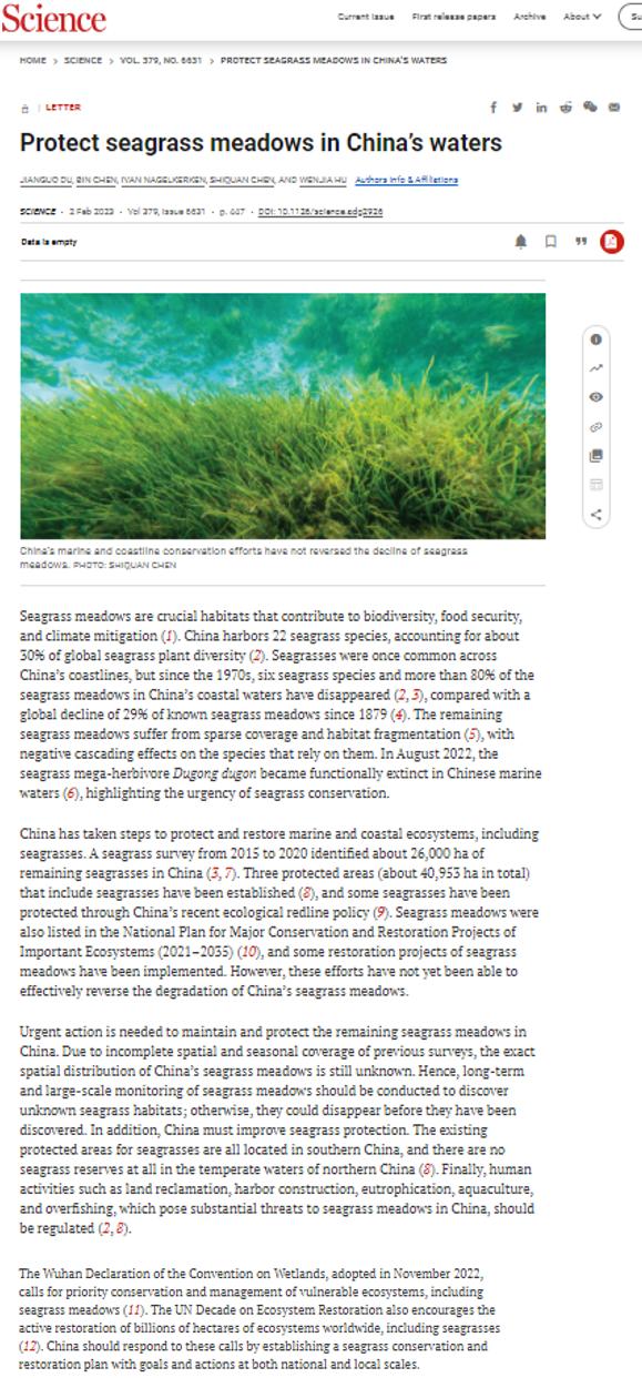 Protect seagrass meadows in China's waters