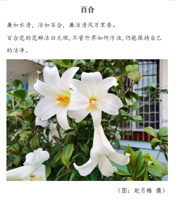 QQ图片20210705162605.png