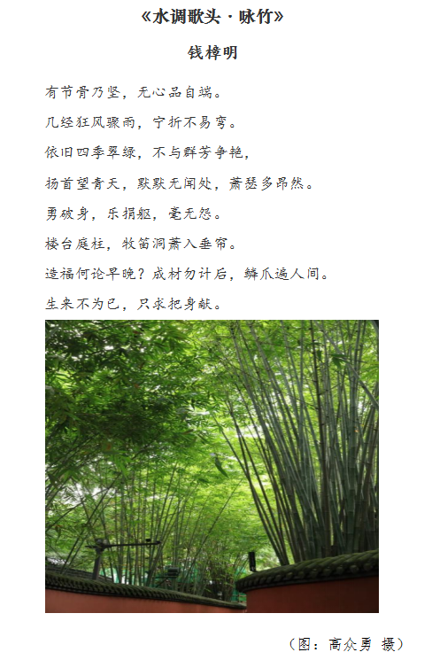 廉政摄影.png