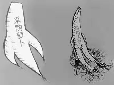 微信图片_20211027172818.jpg
